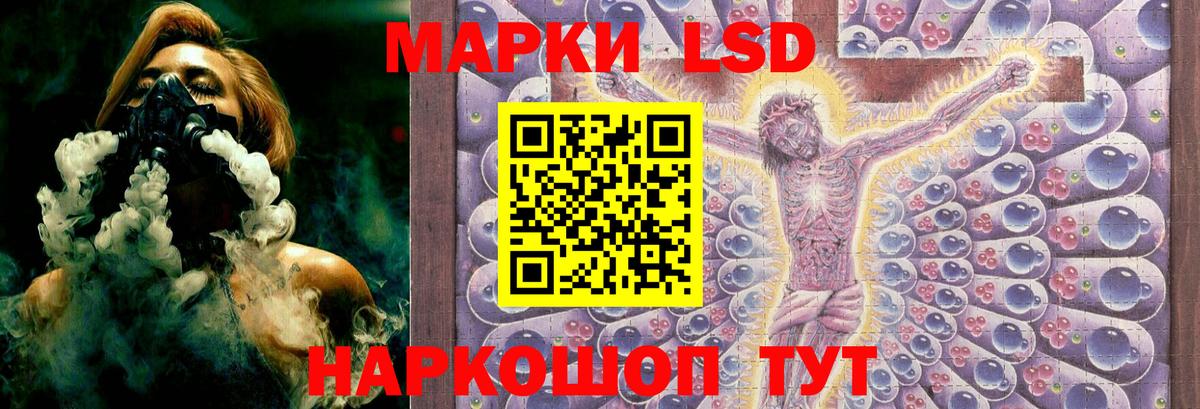 Конопля Выборг